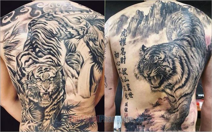 Hình Xăm Hổ Xuống Núi: Ý Nghĩa, Mẫu Hình Đẹp Và Địa Chỉ Xăm Uy Tín Gallery 2