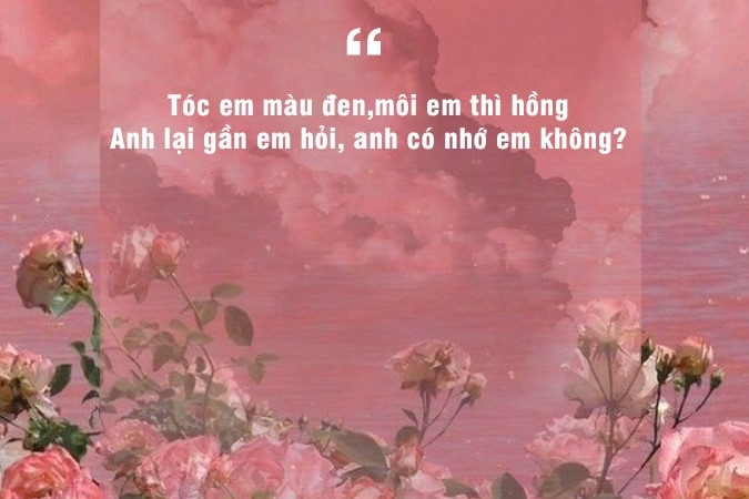 Thích Màu Hồng Ghét Sự Giả Dối Gallery 1