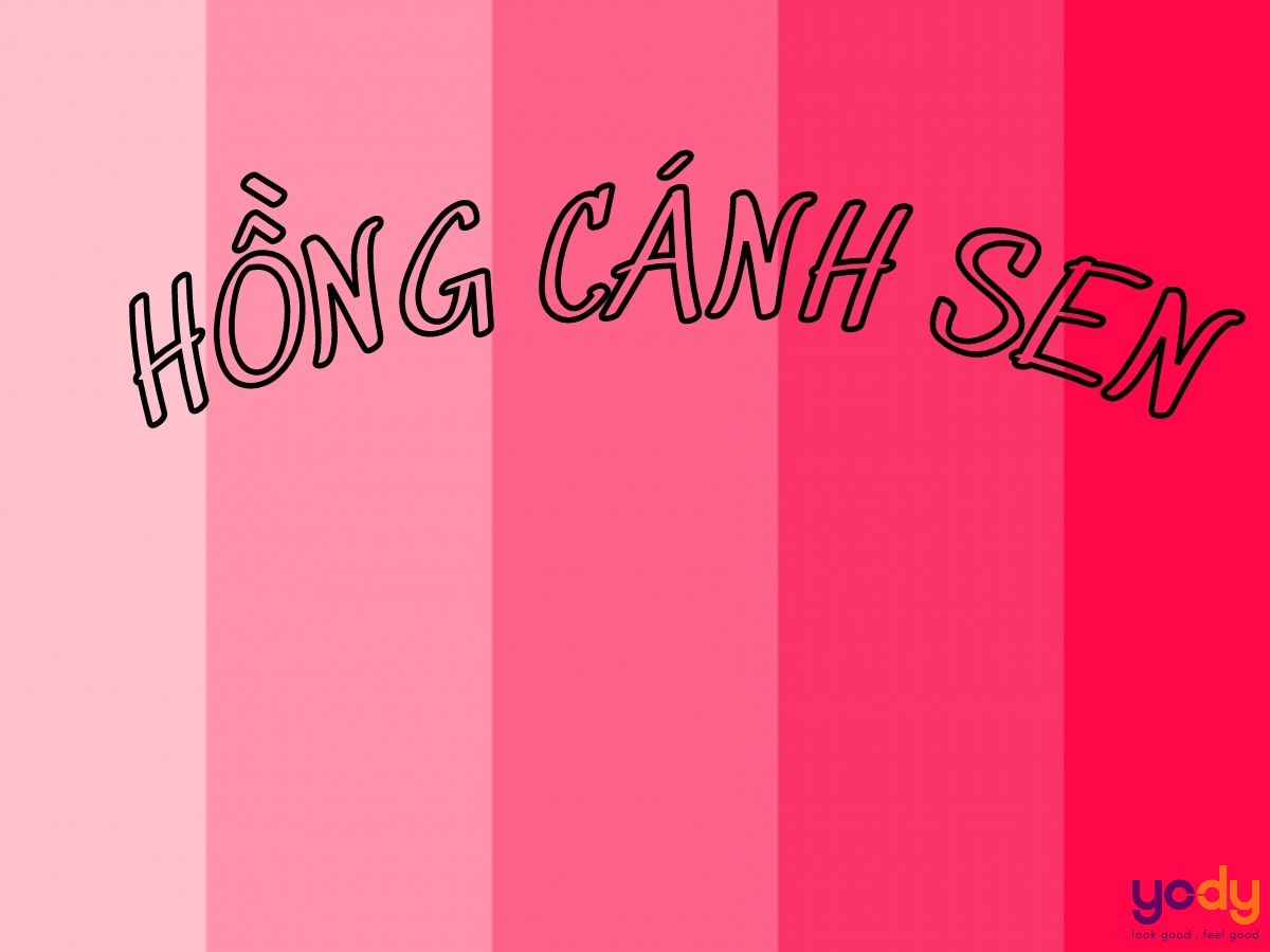 Màu Hồng Cánh Sen Nhạt Gallery 2