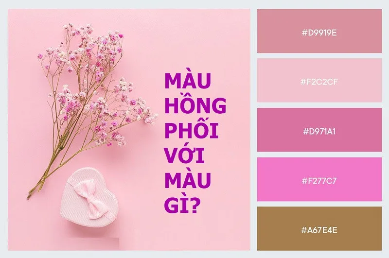 Màu Hồng Đậm Phối Với Màu Gì?