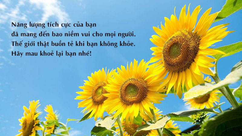 Mẹo Vàng Giúp Bạn Luôn Khỏe Mạnh