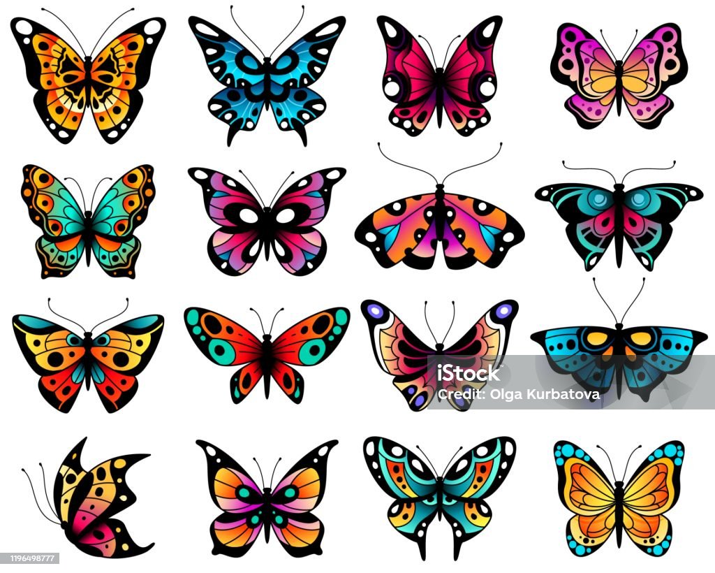 Những Cánh Bướm: Sự Đa Dạng, Màu Sắc Và Ý Nghĩa Gallery 2