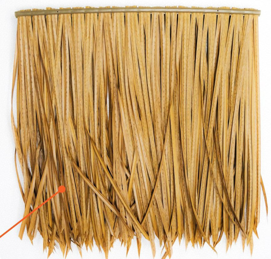 Màu Vàng Rơm Gallery 2