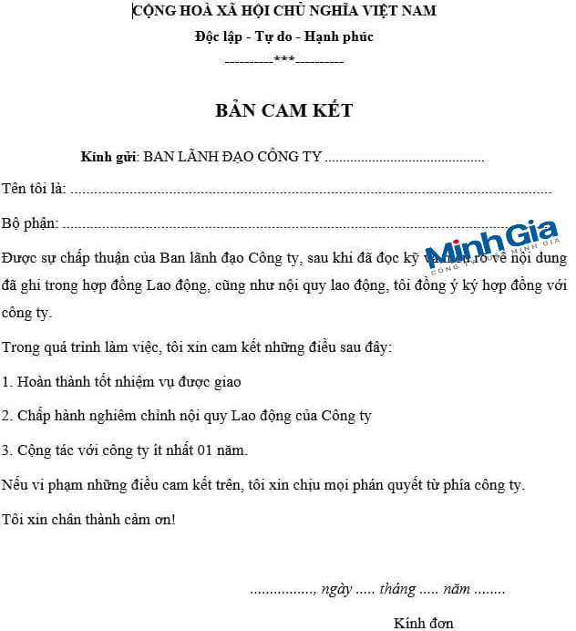 Mẫu Viết Cam Kết Chuẩn, Dễ Sử Dụng