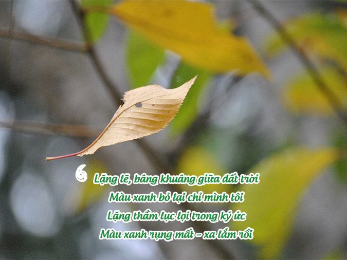 Thơ Về Màu Xanh Gallery 1