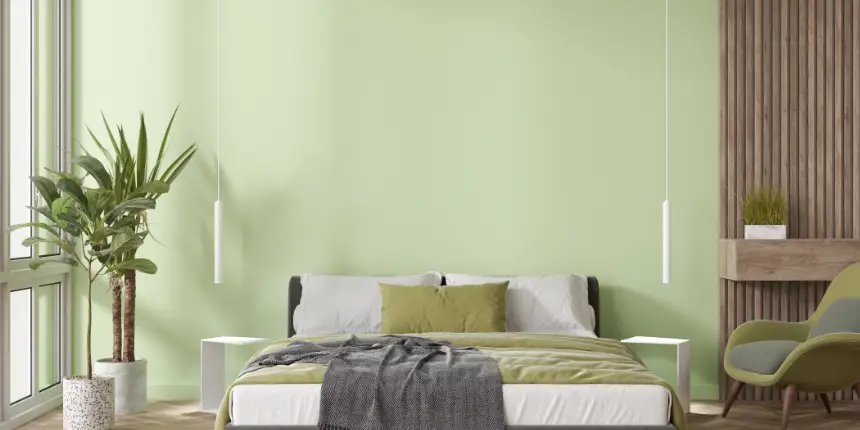 Màu Xanh Nõn Chuối Nhạt