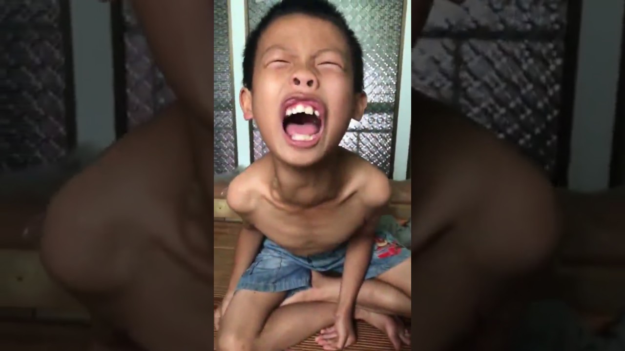 Mày cười cái chó gì?