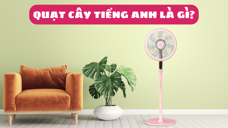 What is the English word for Fan?