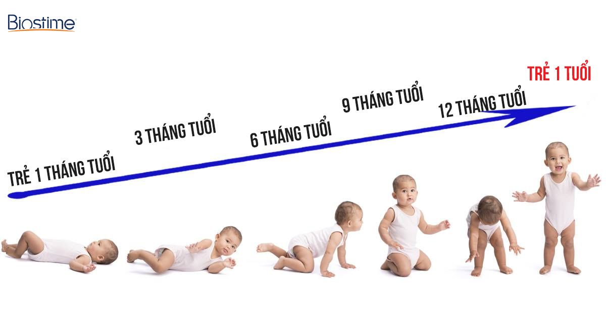 Mấy Tháng Trẻ Biết Lẫy?