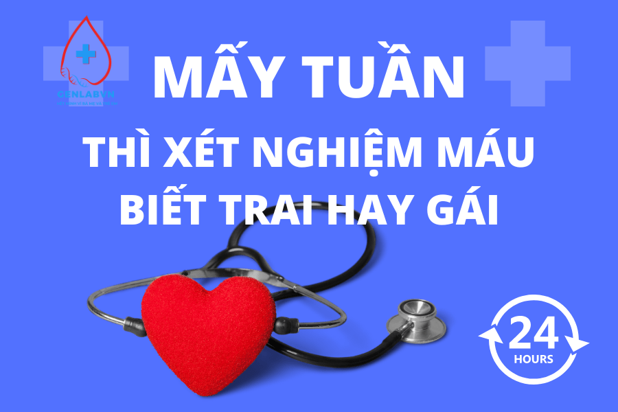 Mấy Tuần Thì Xét Nghiệm Máu Biết Trai Hay Gái?