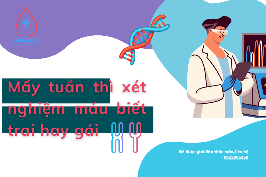 Mấy Tuần Thì Xét Nghiệm Máu Biết Trai Hay Gái? Gallery 2