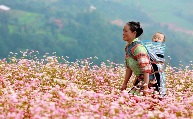 Mẹ địu con trên lưng