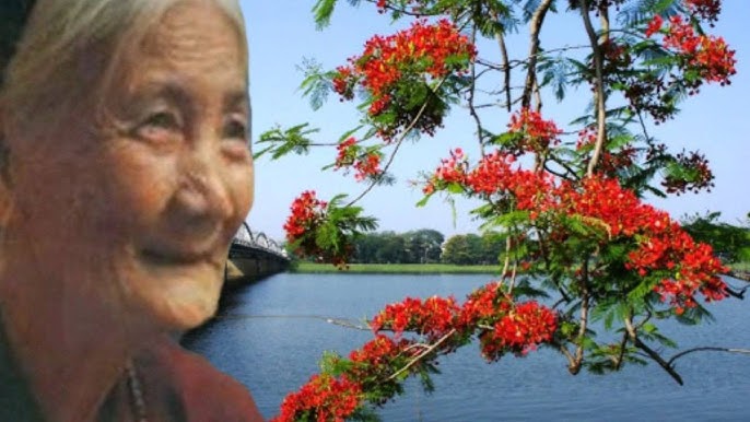 Mẹ là bài ca dao Gallery 2