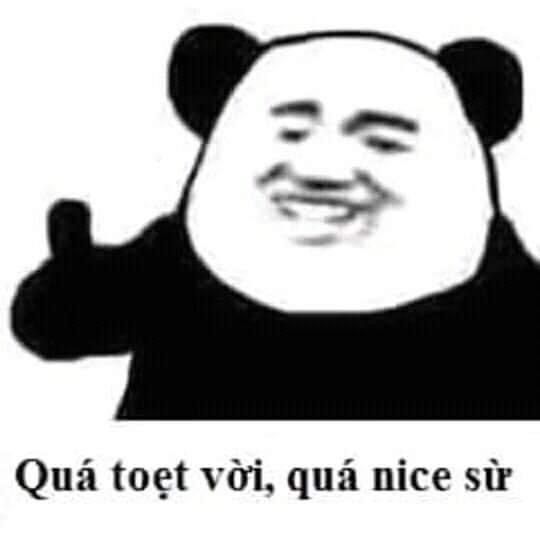 Meme Gấu Trúc là gì? Nguồn gốc và những meme hài hước nhất