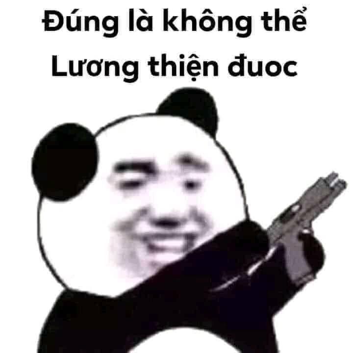 Meme Ảnh: Tổng hợp những bức ảnh hài hước nhất
