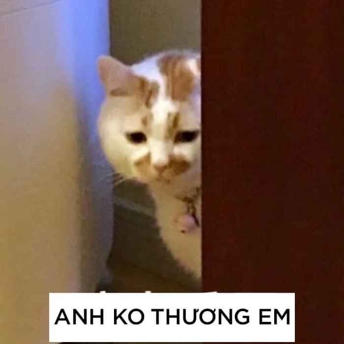 Anh Không Thương Em - Meme và Ý Nghĩa