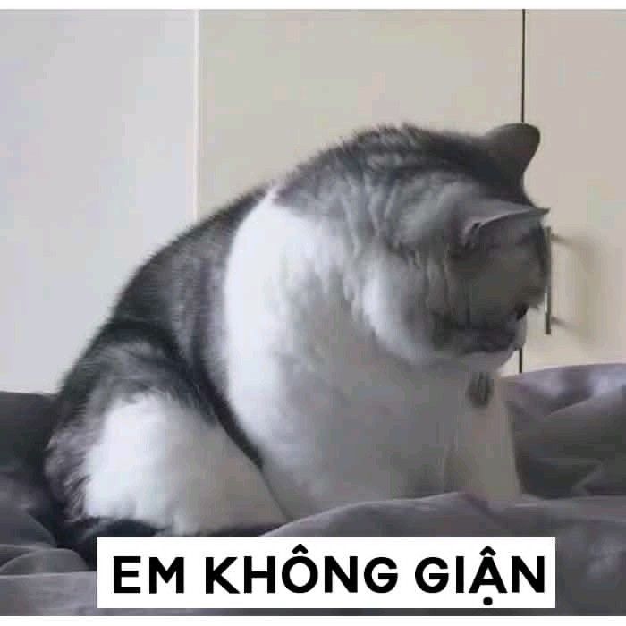 Anh Không Thương Em - Meme và Ý Nghĩa Gallery 2