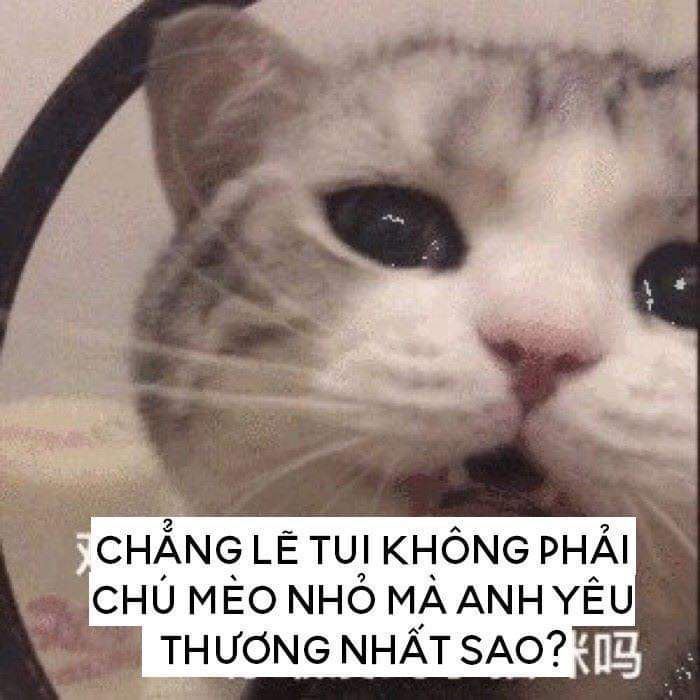 Anh Không Thương Em - Meme và Ý Nghĩa Gallery 1