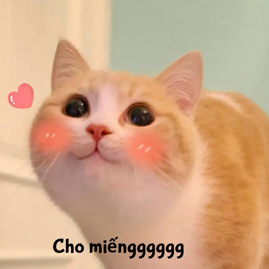 Meme "Cho xin miếng" là gì? Nguồn gốc và ý nghĩa