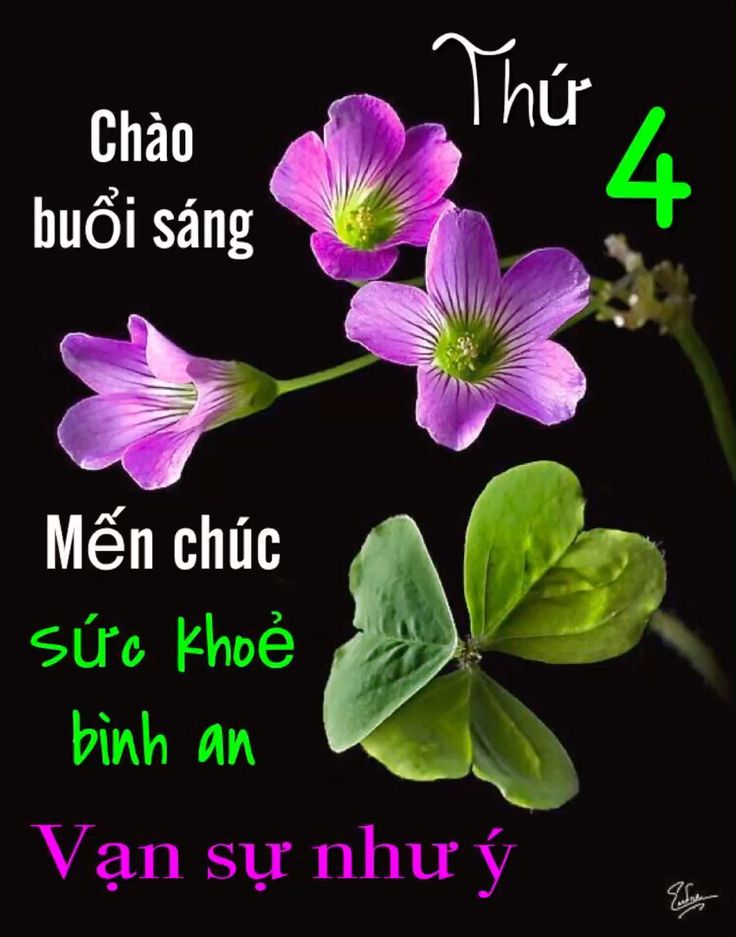 Meme Chúc Buổi Sáng:  Những Hình Ảnh Hài Hước Đón Ngày Mới Gallery 2