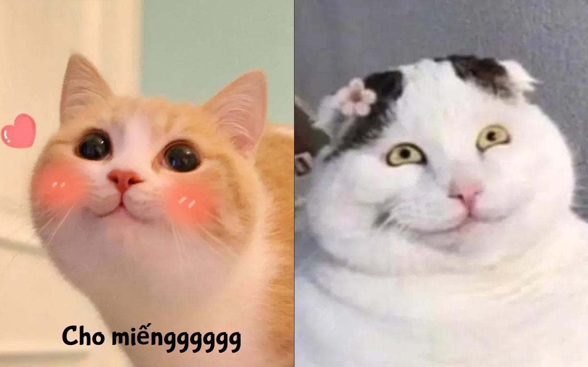 Meme Cười Mỉm: Nguồn Gốc, Ý Nghĩa Và Những Biến Tấu Hài Hước