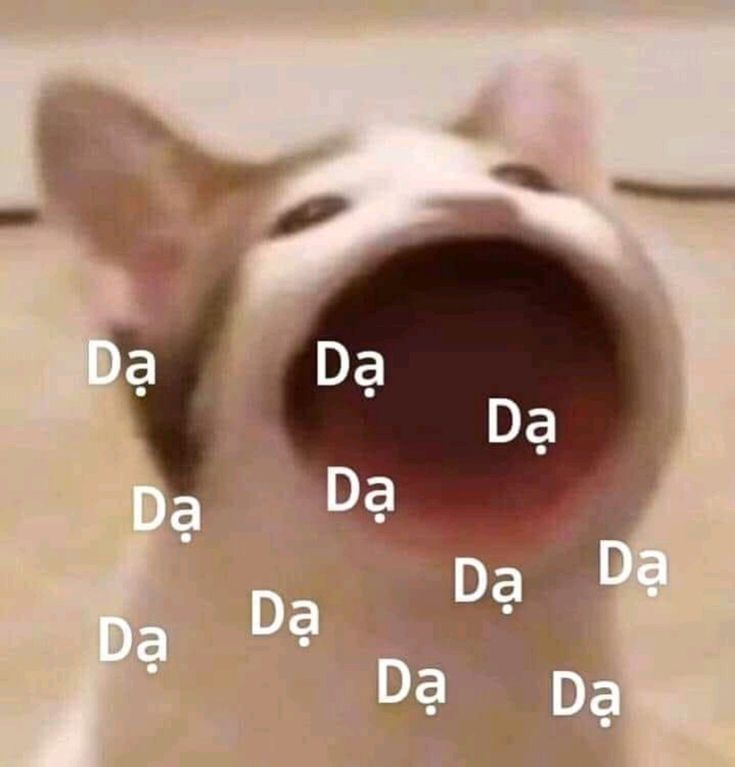 Meme Dạ Là Gì? Giải Mã Meme Viral Trên Mạng Xã Hội
