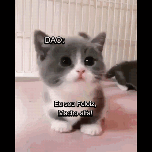 Meme Dao Là Gì? Giải Mã Meme Viral Trên Mạng Xã Hội