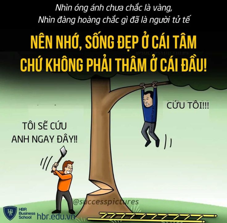Meme Đạo Lý: Nguồn Cảm Hứng Hay Chỉ Là Lời Nói Dối?