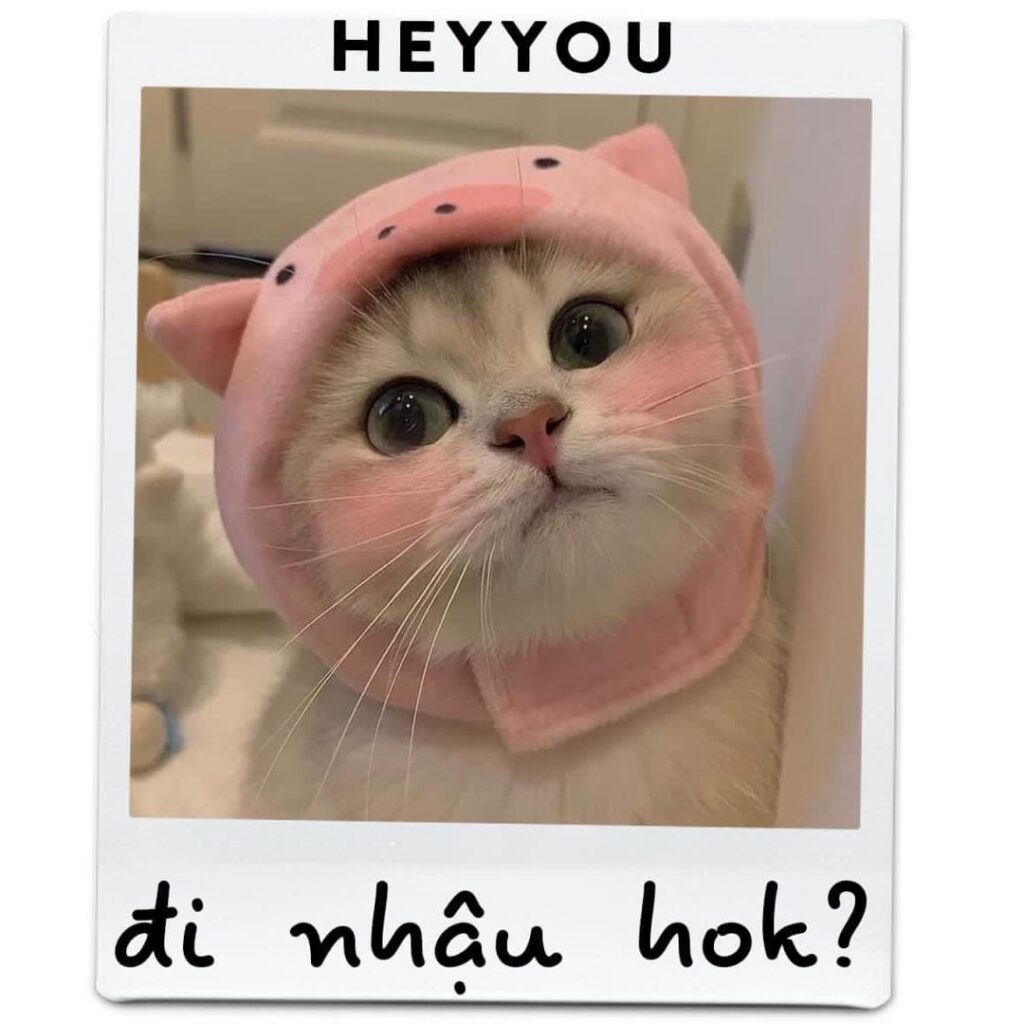 Tổng hợp Meme Hay Nhất, Cười Ngất Ngây Gallery 2