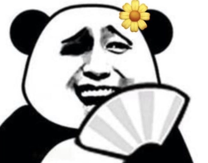 Meme Gấu: Nguồn gốc, ý nghĩa và những meme hài hước nhất