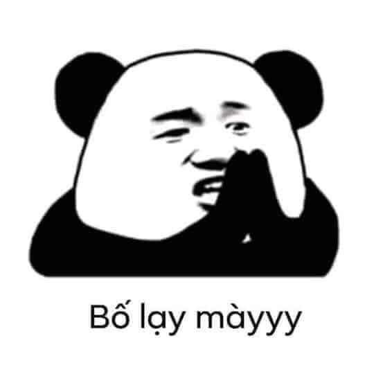 Meme Gấu Trúc Bựa Weibo: Nguồn Gốc, Ý Nghĩa và Sự Phổ Biến