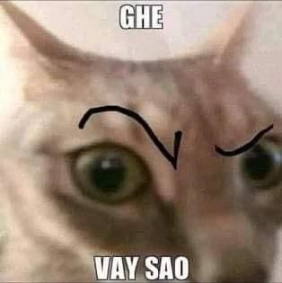 Meme "Ghê Vậy" Là Gì? Nguồn Gốc Và Ý Nghĩa Gallery 2