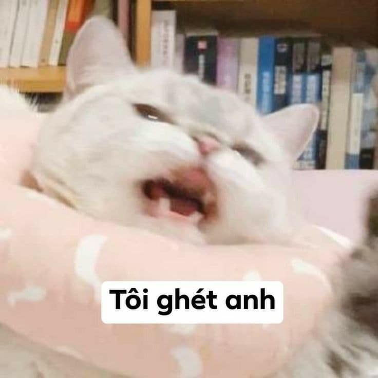 Meme Ghét Là Gì? Tất Tần Tật Về Meme Ghét