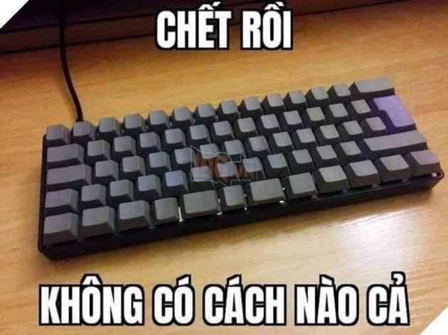 Meme Hết Cách Rồi: Giải Mã Biểu Tượng Của Sự Bất Lực