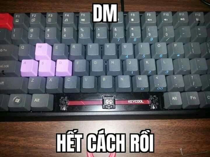 Meme Hết Cách Rồi: Giải Mã Biểu Tượng Của Sự Bất Lực Gallery 2