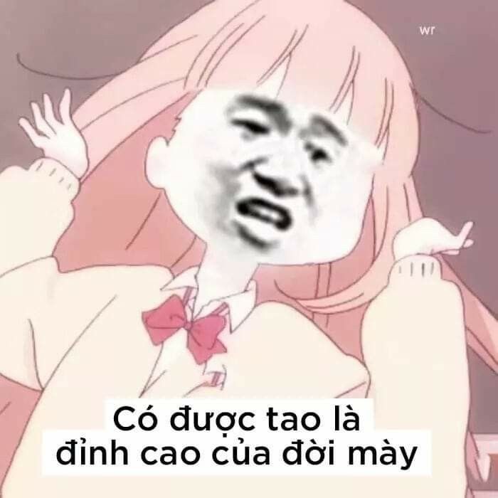 Meme Mặn Mòi Là Gì? Tổng Hợp Những Meme "Cháy" Nhất