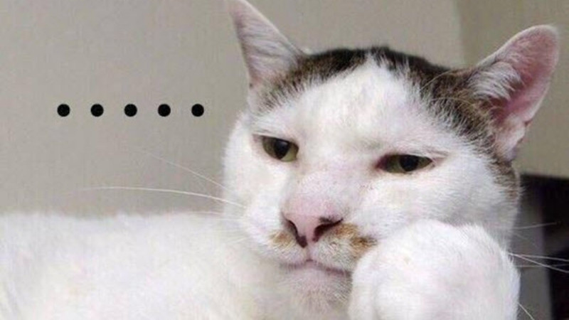 Meme Mèo Cáu: Nguồn Gốc, Ý Nghĩa Và Cách Sử Dụng