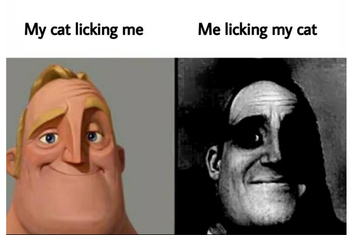 Meme Người Biết Người Không Biết: Giải Mã Cộng Đồng Mạng