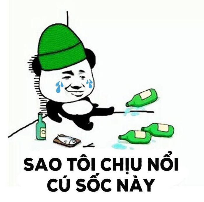 Meme Uống Rượu: Tổng Hợp Những Hình Ảnh Hài Hước Nhất