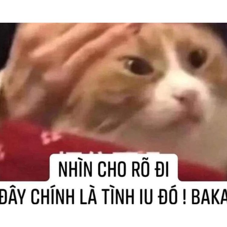 Meme Về Tình Yêu: Tổng Hợp Những Hình Ảnh Hài Hước Và Cảm Động Gallery 1