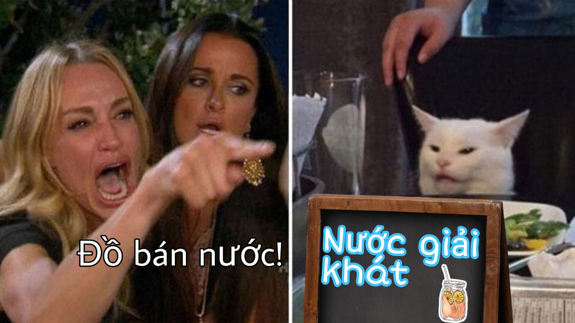 Meme Việt Nam: Tổng hợp những meme hài hước nhất