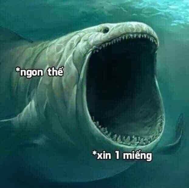 Meme Xin Miếng Là Gì?