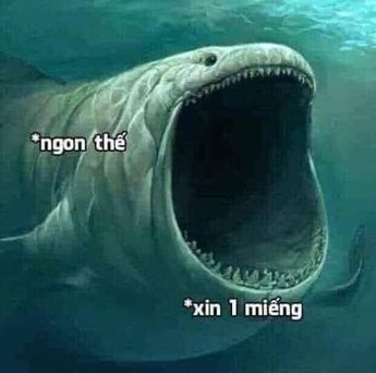 Meme Xin Miếng Là Gì? Gallery 2