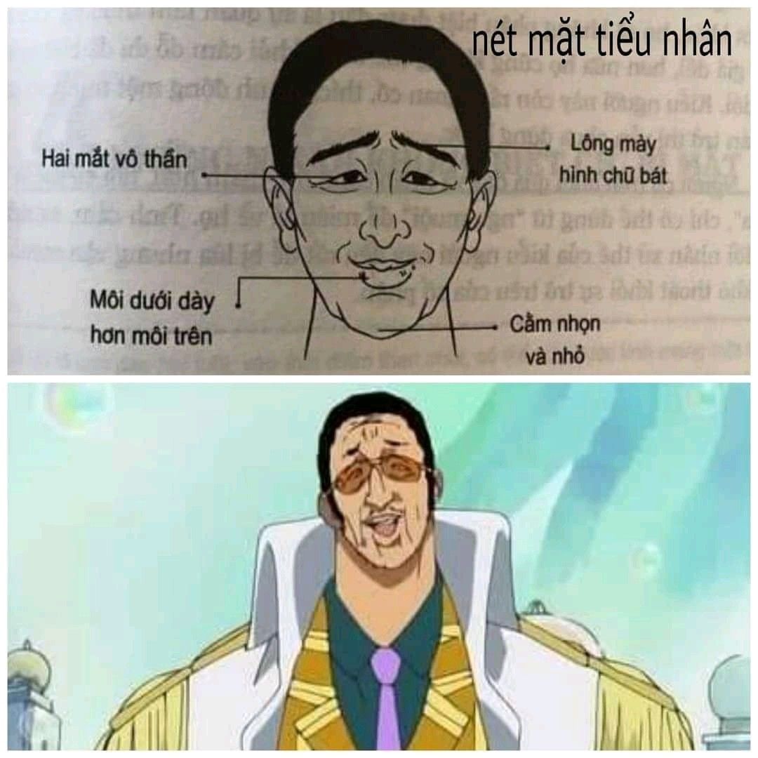 Memes Việt Nam: Tổng hợp những bức ảnh chế hài hước nhất