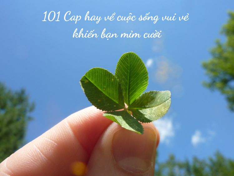 Cap Hay Về Cuộc Sống Vui Vẻ Ngắn Gọn Gallery 2