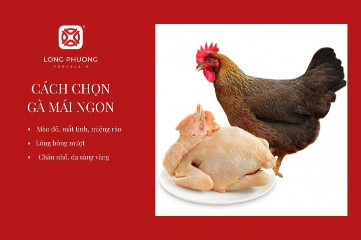 Ngon Tinh Hac Bang Gallery 2