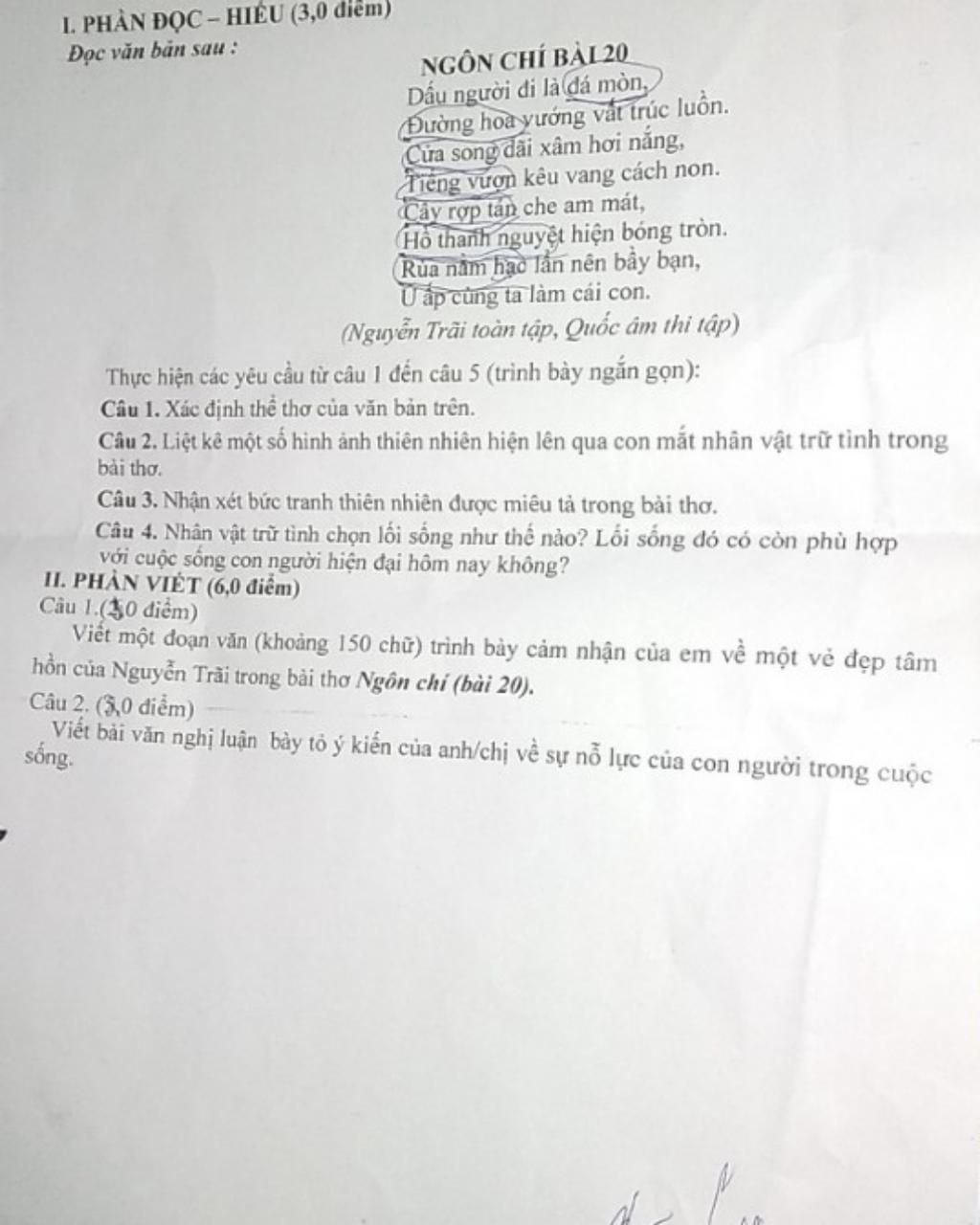 Ngữ Chi Bài 20 Đọc Hiểu: Hướng Dẫn Chi Tiết và Bài Tập Gallery 2