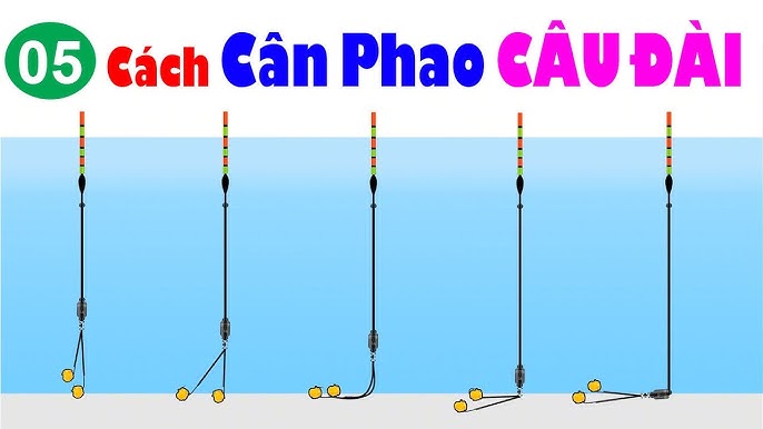 Cách Cân Phao Câu Cá Chép Hiệu Quả Gallery 2