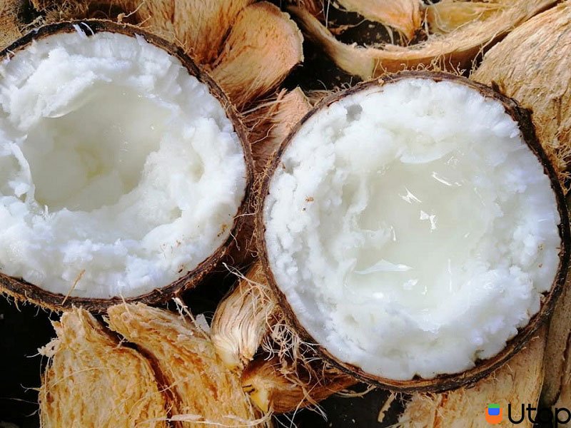 Dừa Sáp Ăn Như Thế Nào? Gallery 2