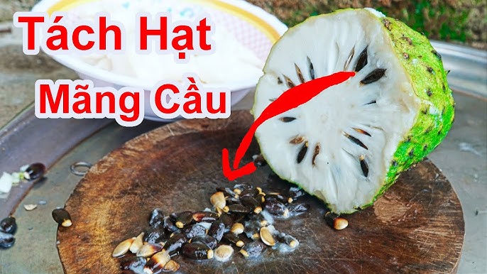 Cách Bổ Mãng Cầu Đơn Giản, Nhanh Chóng và Hiệu Quả Gallery 2